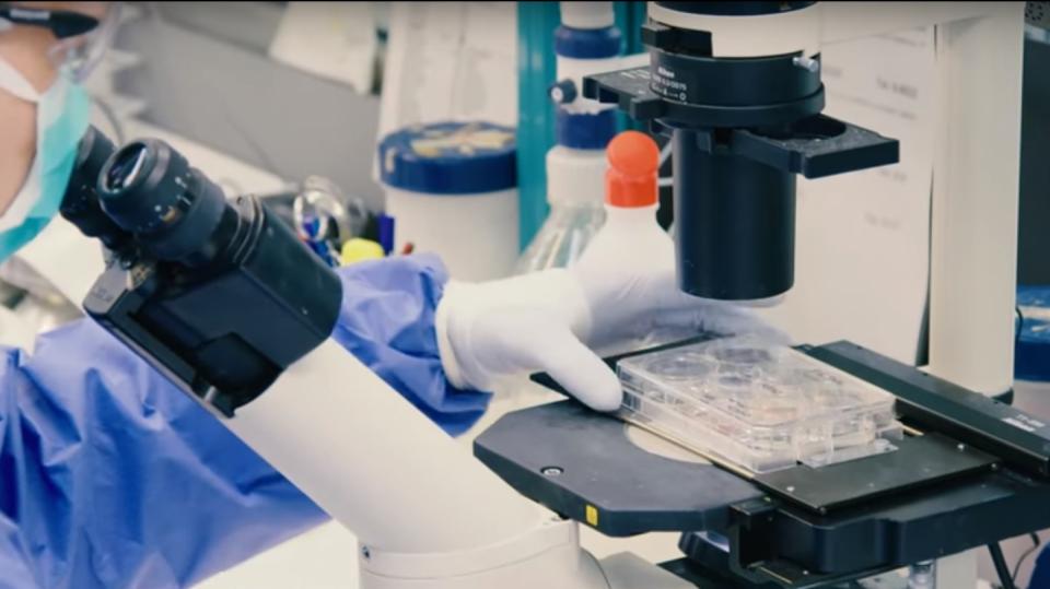HIV - laboratoř